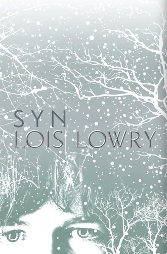 Syn 4 (Paperback, Polish language, 2015, Galeria Książki)